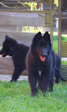 Evita De Geracao Nova